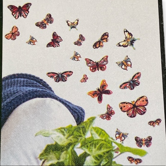 Main Street Wall Creations Wall Decor Butterfly Wall Decal Stickers